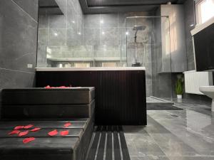 a bathroom with a sink and a shower with red shoes at JohnGold Wellness Room in Debrecen +39 photos