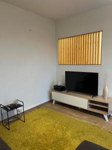 TV a/nebo společenská místnost v ubytování Elegant apartment