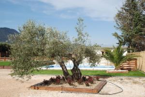 Afbeelding uit fotogalerij van Finca Avellaneda in Navahondilla