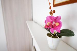 Fotografie z fotogalerie ubytování HOTEL LEA B&B Pensione Completa v Rimini