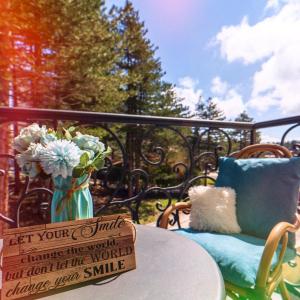 Zahrada ubytování Blue Lux + 17 fotografií