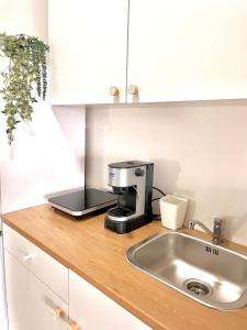 een koffiezetapparaat bovenop een aanrecht bij Villa Alternus-apartman Dora in Ičići