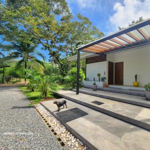 Eine schwarze Katze steht vor einem Haus in der Unterkunft Vacation Home Retreat, 3BD, 3BA, Sleeps 8 in Delicias