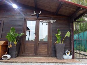 a wooden door with two potted plants on a porch at Centro ecuestre Girasol in Chiclana de la Frontera +3 photos