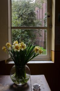 Fotografie z fotogalerie ubytování Guesthouse PoortAckere Ghent v Gentu