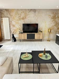 a black cat sitting in a living room with a tv at Evreux ground floor apartment,jardin,proche hyper centre in Évreux +17 photos