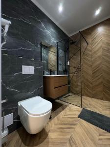 a bathroom with a toilet and a glass shower at TisArt Hotel in Tismana
