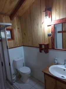 Koupelna v ubytování Cabañas Tía Marce, Los Lleuques
