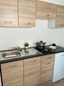 Apartments Linden Tree的厨房或小厨房