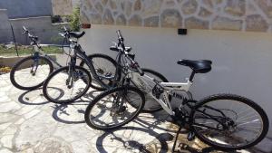 Jazda na bicykli v okolí ubytovania Apartments Stela