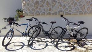 Jazda na bicykli v okolí ubytovania Apartments Stela