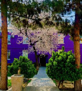 a purple building with a flowering tree in front of it at Apart Hotel Armon in Khujand +6 photos