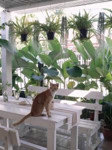 Fotografie z fotogalerie ubytování Booming House 清迈布鸣别墅 v destinaci Chiang Mai