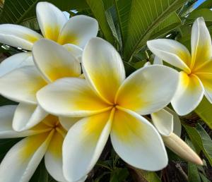 Foto sihtkohas Quinns Rocks asuva majutusasutuse Boutique Coastal Retreat for Couples or Singles galeriist