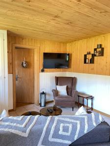 a living room with a bed and a chair at Appartement cosy dans chalet typique Région Diablerets Glacier 3000 in Les Diablerets +9 photos