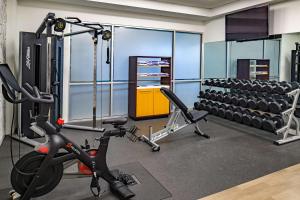 a gym with two treadmills and a treadmill at Embassy Suites by Hilton St Louis Airport in Bridgeton