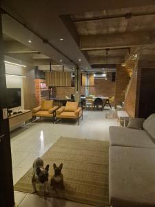 two dogs sitting on a rug in a living room at LOFT COSTANERA 200mts in Encarnación