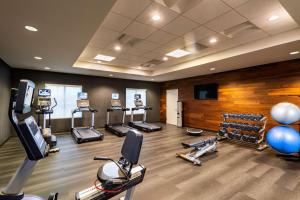 Fitness centrum a/nebo fitness zařízení v ubytování Radisson Hotel Fairview Heights - St Louis