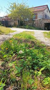 Ảnh trong thư viện ảnh của A Parrula, Mar, río y montaña ở Sotomayor