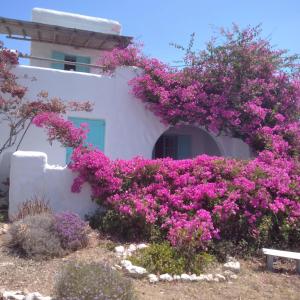 a building with purple flowers on the side of it at Λιογερμα in Koufonisia
