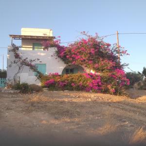 a house with flowers on the side of it at Λιογερμα in Koufonisia +1 photo