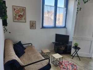 een woonkamer met een bank en een televisie bij Laelia place Rivotte in Besançon