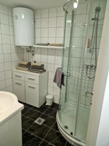 Un baño con ducha de cristal y lavabo. en Apartments Diana Piran, en Piran