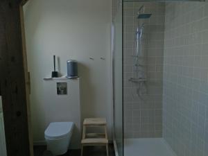 a bathroom with a shower and a toilet and a glass shower at Gite la Blanche in Ogy