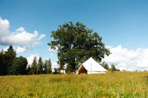 una grande tenda bianca in un campo con un albero di Glamping in Småland a Eksjö