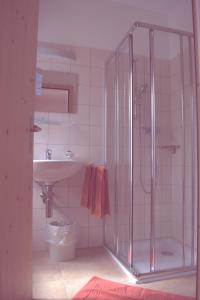y baño con ducha y lavamanos. en Ristorante Pensione Chalet Stazione en Poschiavo