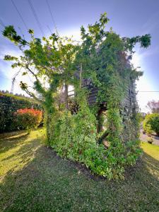 Afbeelding uit fotogalerij van Vibrant Host Solutions-Aldeia da Graça in Guimarães