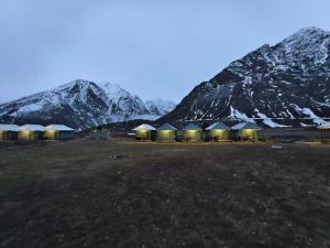 Příroda nedaleko luxury tent