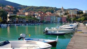 a bunch of boats are docked in a harbor at Ca'di Lalu in Fezzano