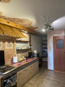 a kitchen with a stove and a counter top at Sosenka in Zalas