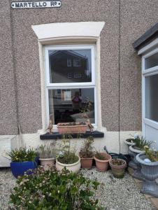 una finestra con un mucchio di piante in vaso di Beach Walk Cottage a Walton-on-the-Naze Altre 4 foto