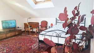 a bedroom with a bed and a tv and a plant at "Les Échalas" La capite, domaine de Calamin in Cully