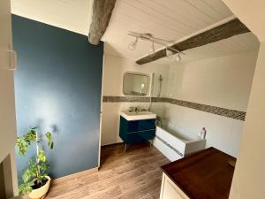 a bathroom with a sink and a mirror at Charmante maison dans un hameau paisible in Salasc