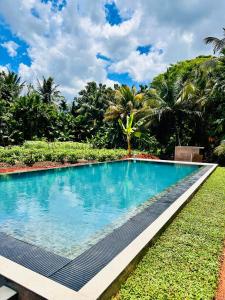 Kolam renang di atau dekat dengan Blue Mountains View