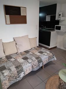 a living room with a couch and a kitchen at STUDIO 1 personne dans le centre historique in Le Puy-en-Velay