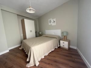 Ένα ή περισσότερα κρεβάτια σε δωμάτιο στο Suites Cañizares Catedral