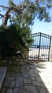 レフォカストロにあるStelios Seaside Houseの椰子の木門