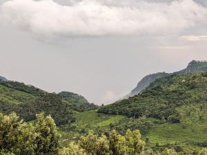 vista su una valle con alberi e montagne di Cascade Meadows Bungalow with Waterfall View a Kotagiri