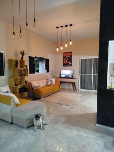 a living room with a dog sitting in the middle at Spacious COP 30 home - Casa espaçosa COP 30 in Belém