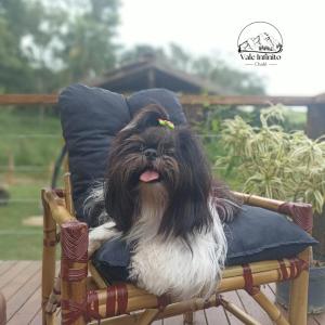 Φωτογραφία από το άλμπουμ του Vale Infinito Chalé σε Córrego do Bom Jesus