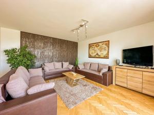 salon z kanapami i telewizorem z płaskim ekranem w obiekcie Aranyeső Apartmanházak No.1 w mieście Balatonalmádi