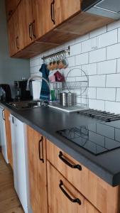 a kitchen with a sink and a counter top at Świerkowy Zakątek u Bacy in Wieprz