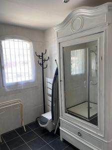 a bathroom with a shower and a toilet in it at Grande Chambre meublee in Cornebarrieu