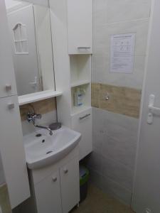 CisowaにあるHostel przy Gniewskiejの洗面台とシャワー付きの白いバスルーム +1枚の写真