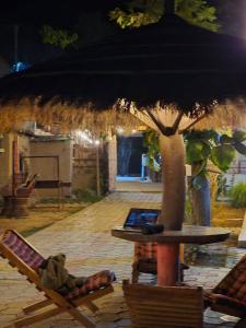 Gallery image of Hotel The Elephant View in Sauraha