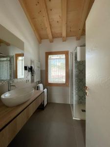 un bagno con lavandino e doccia in vetro di Dalla Afra Agrialloggi a Guia